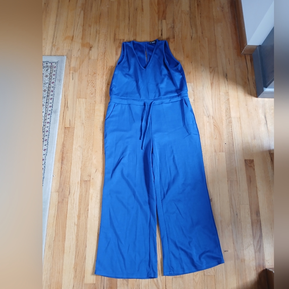Royal Blue Jumpsuit - Picture 2 of 4